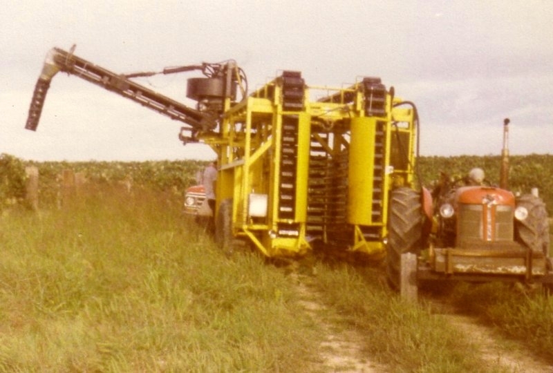 photo1.jpg