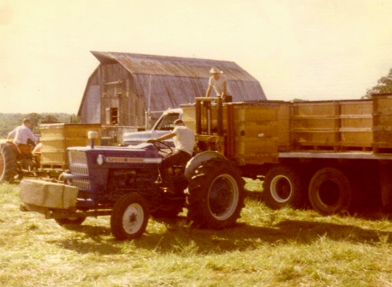 photo4.jpg